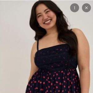 Torrid Blue and Red Lace Dress